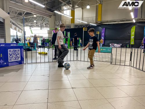 IMG 3550