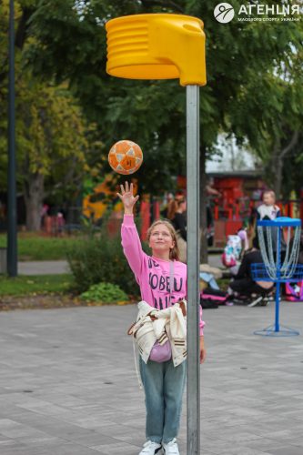 IMG 2679