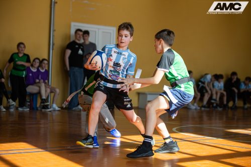 IMG 3686