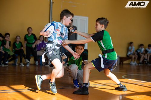 IMG 3687