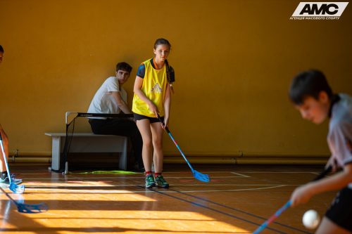 IMG 8815