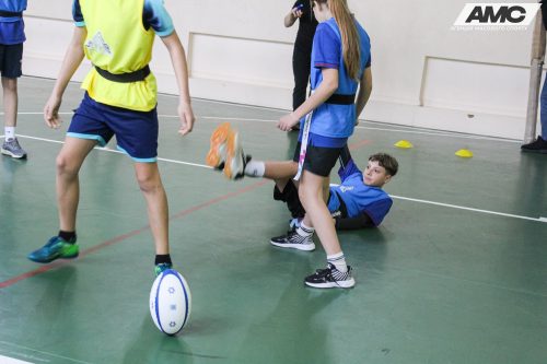 IMG 2993