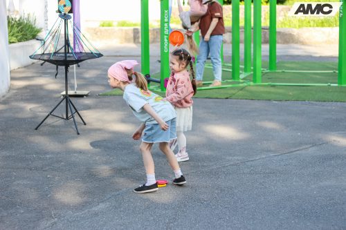 IMG 2310