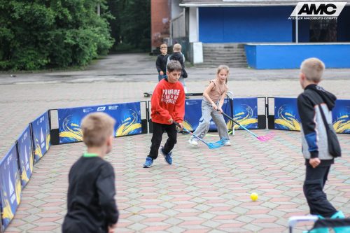 IMG 3039