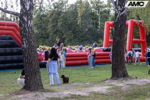 IMG 3571