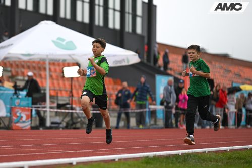 Foto-50